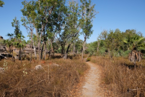 Merl Campground Scenic Walk (Kakadu NP)