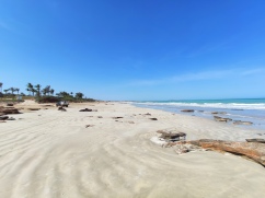 Cable Beach (Broome)
