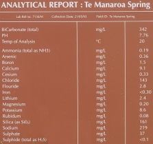Te Manaroa Spring