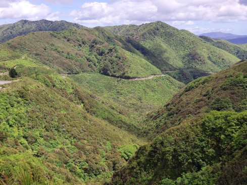 Rimutaka Range