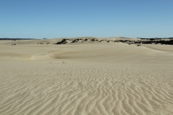 Yeagarup Dunes